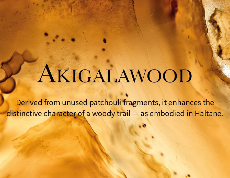 Image alt text Mobile