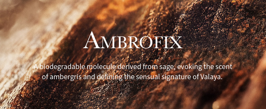 Image alt text Mobile