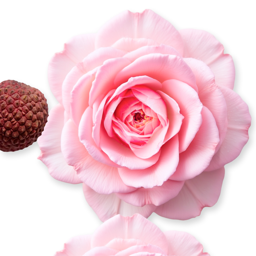 DELINA HAND CREAM