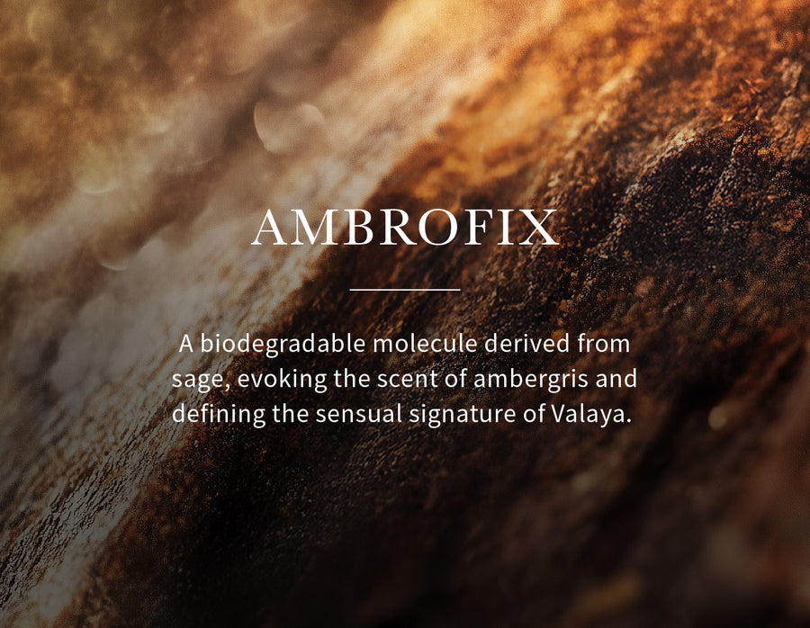Image alt text Mobile
