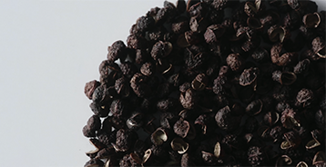 Image alt text (mobile)