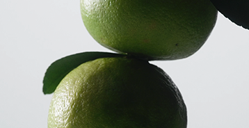 Image alt text (mobile)